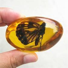 Beautiful Amber butterfly Fossil Insects Manual Polishing picture