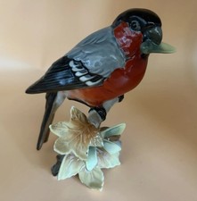Vintage 1970 Hutschenreuther Porcelain Bird - Gunther Granget Birds picture