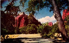 Zion National Park Utah Vintage Postcard 5P18-22 picture