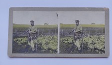 1900s Russia Hunting Stereoview Hand Colored Photo Hunter Dog Game Birds picture