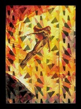 18 Diving Boris 3 All-Prism Fantasy Art Trading Card TC picture