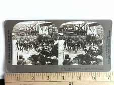 President McKinley Home-Coming Stereoview International View Co. 1901 Ohio picture