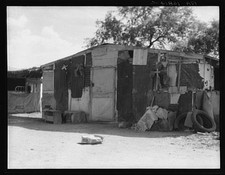 Casa Grande Arizona 1937 FSA Shanty Shack Farm Security Administration picture