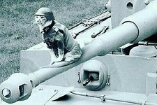 cat in german military uniform WW2 Photo Glossy 4*6 in D007 picture