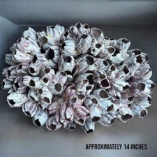 Giant Decorative Ocean Rock Rare Reef Stone Decor Aquarium Fish Tank Decoration picture