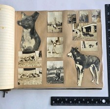 1940s-50s Vintage DOG PHOTO ALBUM 100+ Original Photos Raleigh NC Named Pets picture