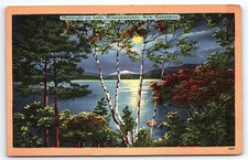 1930s LAKE WINNIPESAUKEE NEW HAMPSHIRE NH MOONLIGHT ON LAKE LINEN POSTCARD P2440 picture