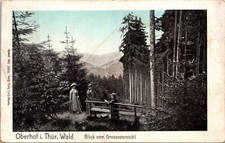 Oberhof Thur Wald Blick Von Grossvaterstuhl Postcard Antique Undivided Back Vlg picture