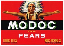 ORIGINAL CRATE LABEL VINTAGE MODOC NATIVE AMERICAN INDIAN MEDFORD OREGON C1960S picture