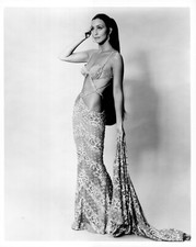 BEAUTIFUL CHER 8X10 Glossy Photo picture