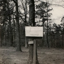 c1930s Silas H Jenkins Magnolia Farms Mailbox Snapshot Photo Rural Roadside Post picture