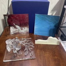 Swarovski SCS Retired 2006 Wonders of the Sea ETERNITY COLORED Turtle MIB & COA picture