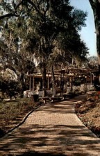 Rainbow Springs, Florida Postcard picture