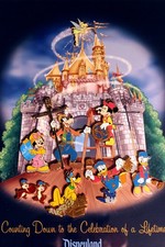 Disneyland 2005 Counting Down to the Celebration of a Lifetime Framed LE PIN SET picture