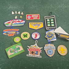 BSA Boy Scouts Mixed Lot Patches & Pins Whittling/Cyber Chip 2019-2021 picture