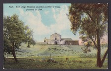 Vintage postcard USA San Diego CA Mission Old Olive Trees California Expo Seal picture