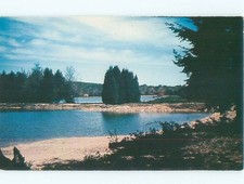 Pre-1980 LAKE SCENE Between Coudersport & Galeton Pennsylvania PA s/06 AE4110 picture
