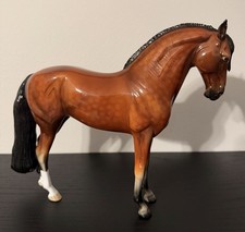 Peter Stone 2023 DAH Andalusian picture