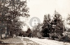 IL Horse Buggy On Road To Lake Zurich Illinois c1910s RPPC Photo Postcard COPY picture