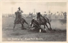 H80/ Pike Peak Colorado RPPC Postcard c1920s Rodeo Bulldogging 152 picture