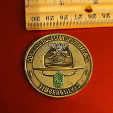 Command Team Coin of Excellence Timberwolves 1st Brigade 104 Division (IT) picture