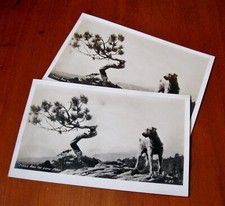 Vintage B&W Postcards Jiggs and the Lone Pine Unposted Benjamin Franklin Stamps picture