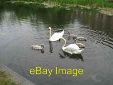 Photo 6x4 Swan canal sextet - Walsall Wood, Staffordshire Brownhills A fa c2013 picture