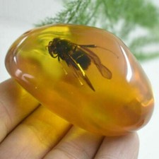 Beautiful Amber Bee Fossil Insects Manual Polishing picture