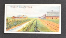 1914 Wills's Overseas Dominions Canada Cigarette Card No. 23 Irrigation Ditch picture