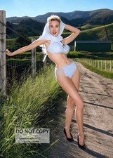 5X7 PUBLICITY PHOTO - BETTY BROSMER MODEL PIN-UP (CP-337) picture