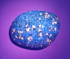 Fluorescent Sodalite ( Yooperlite )   A Bright 1 Pound 7 Ounce Yooperlite  picture