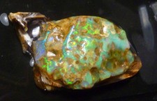 Precious BLACK Opalized Wood from Virgin Valley Nevada Opal 169 carats picture