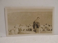 VINTAGE FOUND PHOTOGRAPH B&W OLD PHOTO 1920S JERUSALEM PALESTINE SHEPHERD SHEEP picture