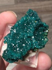 DIOPTASE w/ Wulfinite Crystal Mineral Specimen Cluster Green CONGO AFRICA 4.5 cm picture