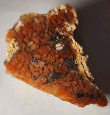 Powell Butte Plume Agate Beautiful AAA Quality Rare Polished Rough. OR (44 G) picture