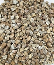 1000Authentic Rhombodus Binkhorsti Ray Fossil Teeth Bulk Lot Natural Collection  picture