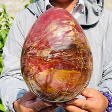 18.25lb Large Natural Petrified Wood Quartz Crystal Egg Shape Mineral Specimen picture