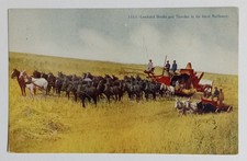 Great Northwest Combined Header Thresher Horses Farming Postcard 1910s picture