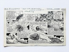 Original 1953 Disney Mickey Mouse Weekly Comic Art Basil Reynolds True Life picture