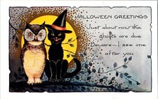 Vintage Whitney Anthropomorphic Owl & Black Cat Witch Hat Halloween Postcard picture
