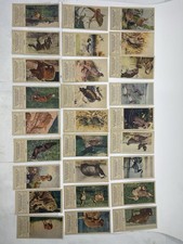 Lot Of 27 Antique 1920s E161 Ghirardelli Chocolate N. American Wildlife Cards picture