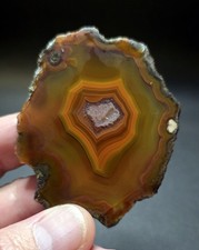 Stunning Condor Agate Lapidary/Collectors Slab picture