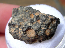 3.53 grams NWA 7454 Meteorite - Classified CV3 - as found with COA and info card picture