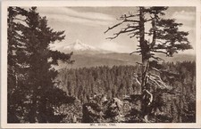 Lithograph ** Mt. Hood Oregon Panoramic View early 1900s picture
