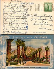 Vintage California Palm Lined Street Pasadena CA Postcard Used 50943 picture