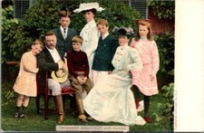 President Roosevelt And Family Photo 1901 to 1907 UNDB Vintage Postcard picture