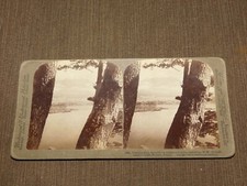 VINTAGE STEREOVIEW STEREOSCOPE CARD 1904 GLORIOUS FIJI LAKE MOTOSU  JAPAN picture
