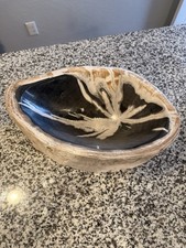 Petrified Wood 31 Lb Mineralized Fossil Luxury Decor picture
