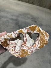 LARGE 5 LB Natural Gobi Desert Rock Stone Minerals Specimen 6