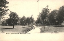 Winchester MA The Common The Rotograph Co. c1900s-10s Vintage Postcard picture